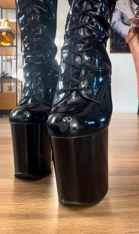 Kitteh Official pretty star photo