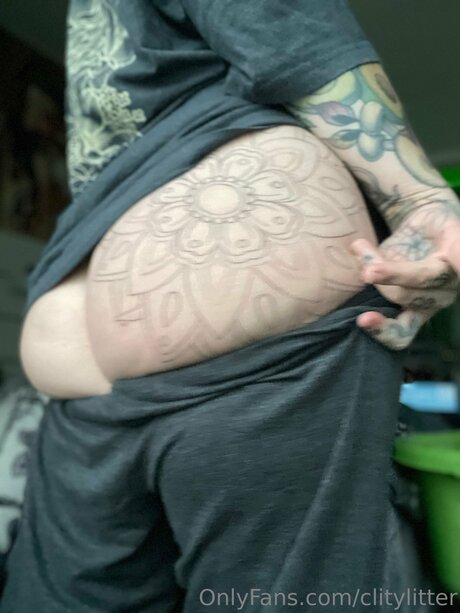 Clitylitter pornstar img