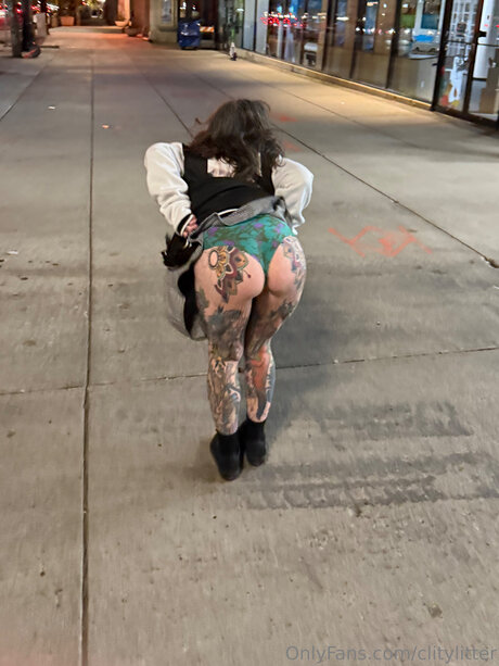 Clitylitter exclusive model picture