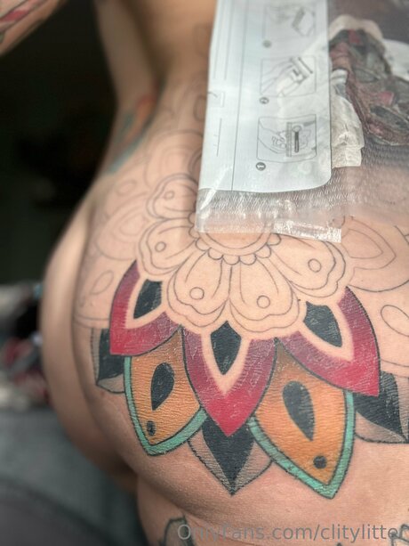 Clitylitter pornstar adult image