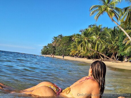 Adore Annaliisa erotic model photo