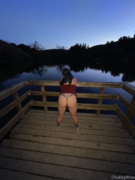 Chubbbyrose nudes actress picture