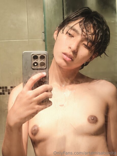 Artemisabonita perfect model img