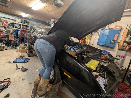 Wildcounryred star high quality pic