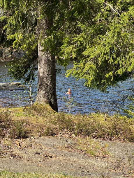 Night Switcher pretty pornstar images