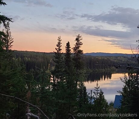 Daisyknickers sex star image