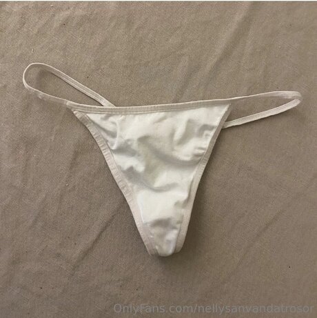 Nellysanvandatrosor pornstar best galleries