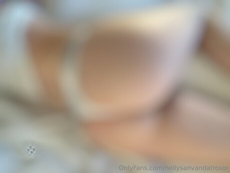 Nellysanvandatrosor exclusive star img