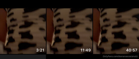 Kellycalifree free star image