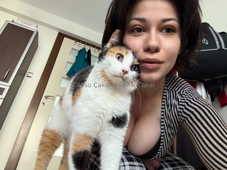 Nocns star high quality pictures