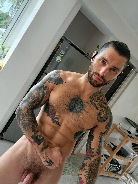 Irondegenerate hd model pic