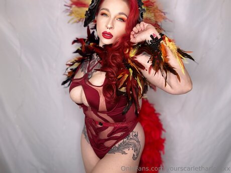 young ebony onlyfans nude galleries