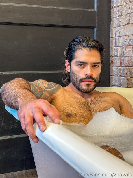 Zhavala model perfect img