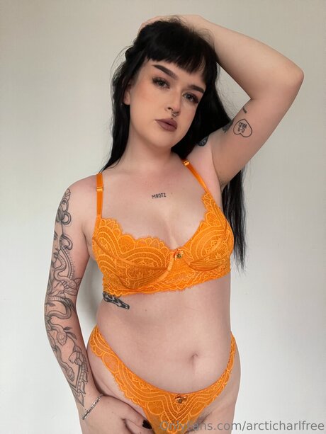 Otherarcticharl adult model img