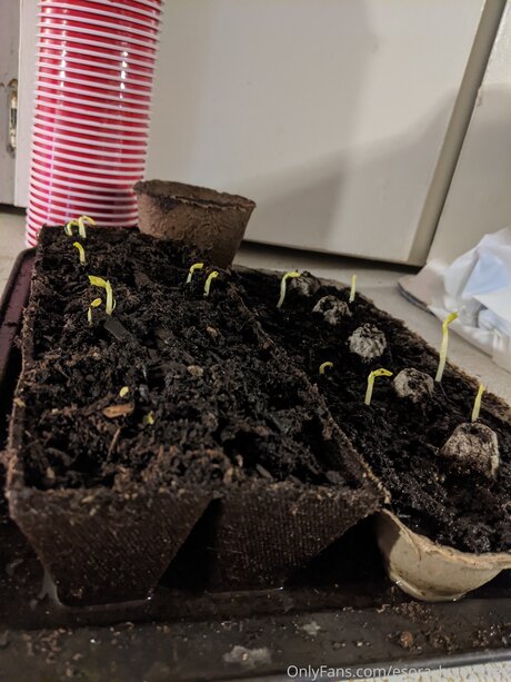 Esora Luvey Free model porn image