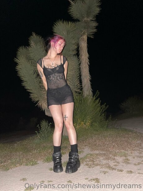 Shewasinmydreams model pornographic gallery