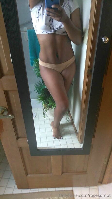 Rosesornot star art pictures