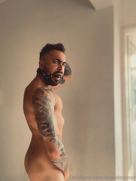 Brandonmor adult star pictures
