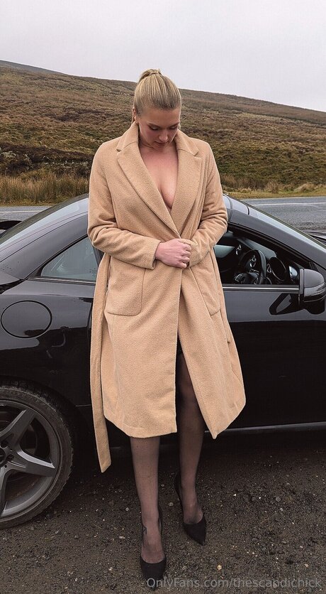 Thescandichick high quality pornstar pics