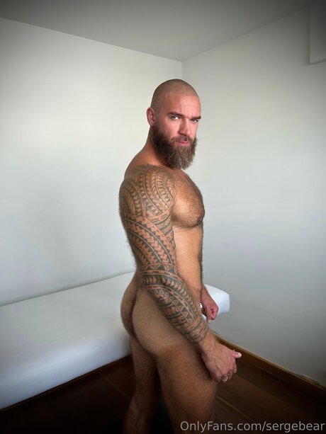 Sergebear perfect star pictures