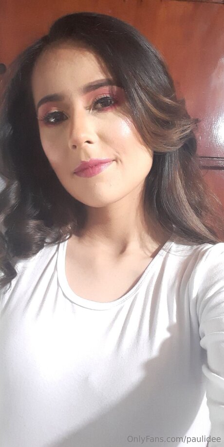 Paulidee star high quality gallery