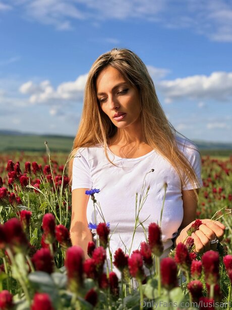 Lusisart art actress archive