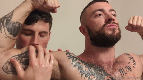 Tworld perfect star pictures