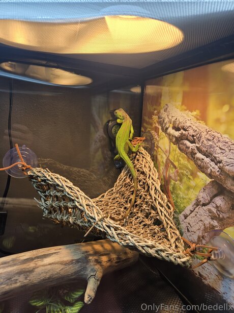 ebony free onlyfans hd image