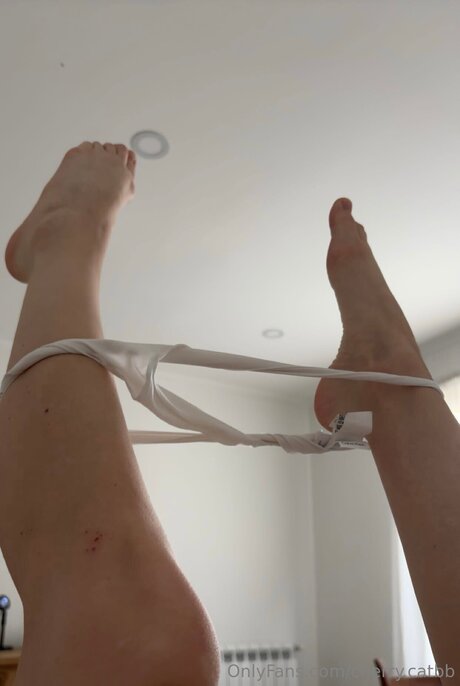 Cherry Catbb pornstar hot gallery