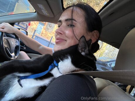 Asmrwitholivia nice pornstar photo