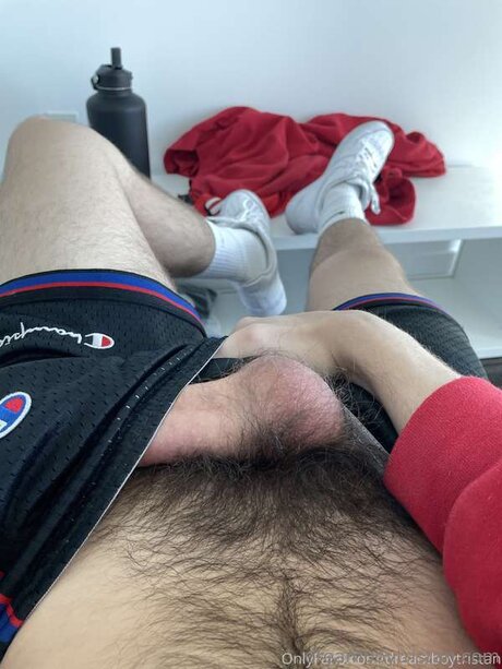 Tristan West naked pornstar gallery