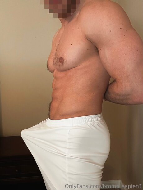 Bromo Sapien1 xxx actress archive