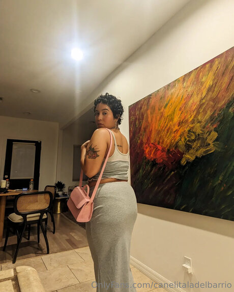 Canelitaladelbarrio erotic star photos