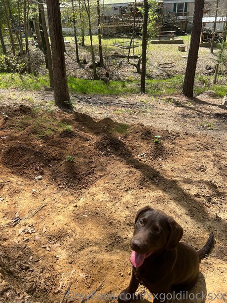 Xxgoldilocksxx beautiful pornstar photos