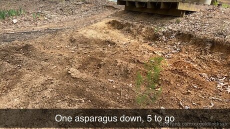 Xxgoldilocksxx adult star pics