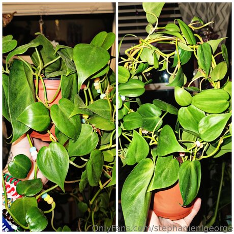 Stephanienlgeorge pornstar sex photo