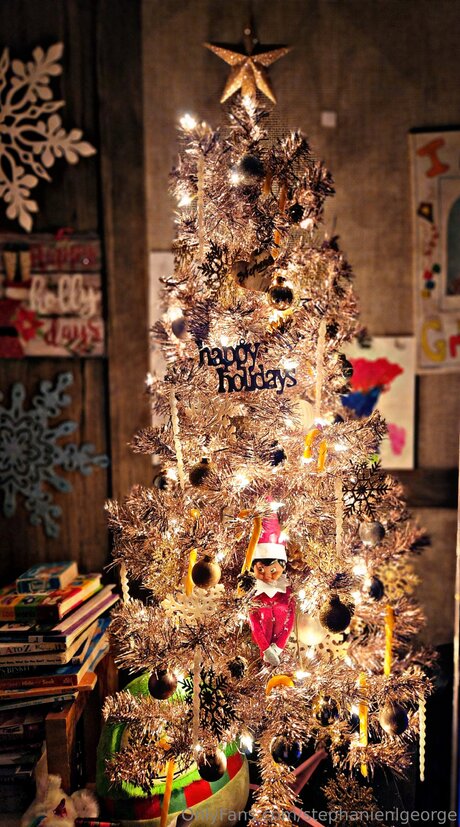 Stephanienlgeorge pornstar hd gallery