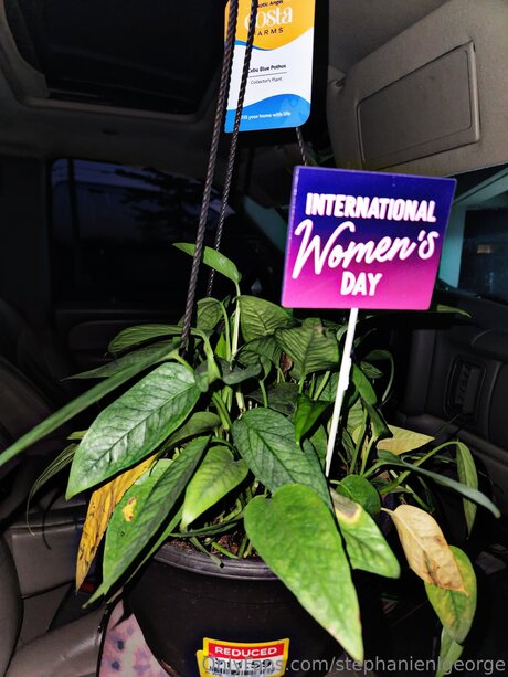 Stephanienlgeorge top star pic