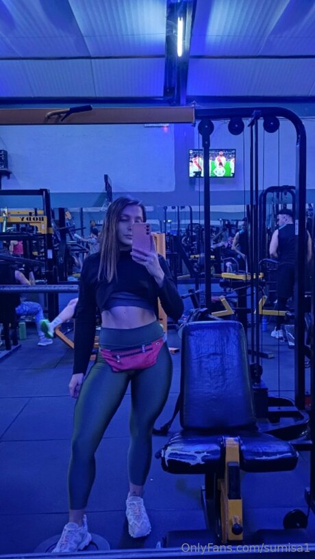 Sumisa1 Quick model image