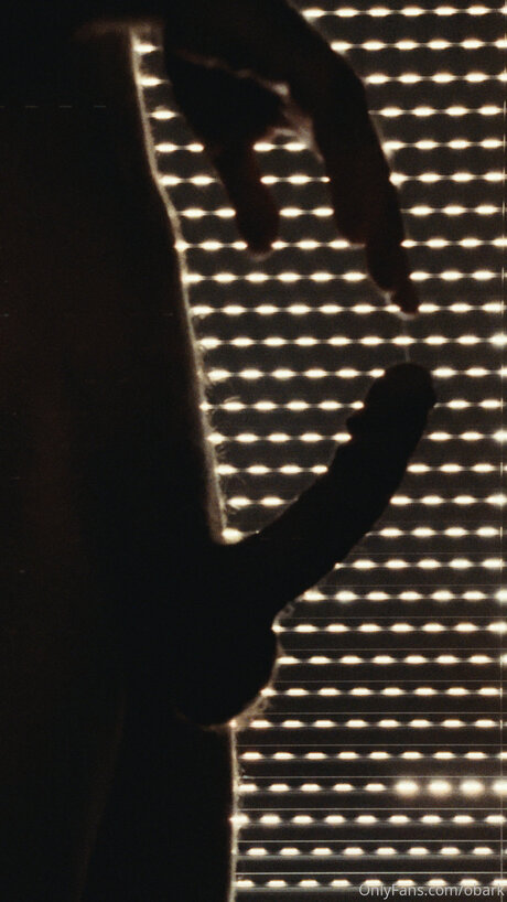 Obark pretty star galleries