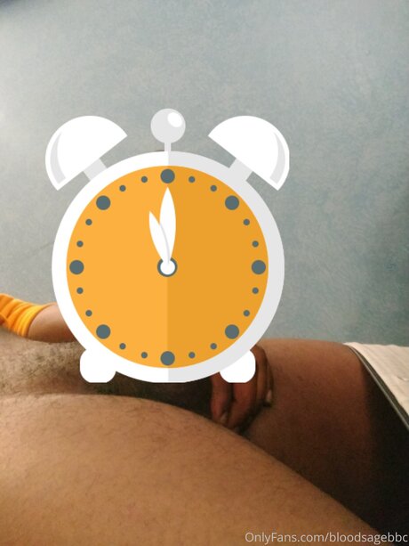 Bloodsagebbc hd pornstar archive