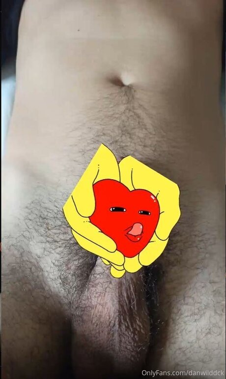 Danwilddck nice star gallery