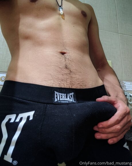 Bad Mustang adult star gallery