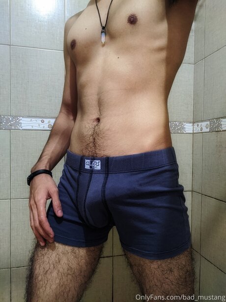 Bad Mustang star adult pic