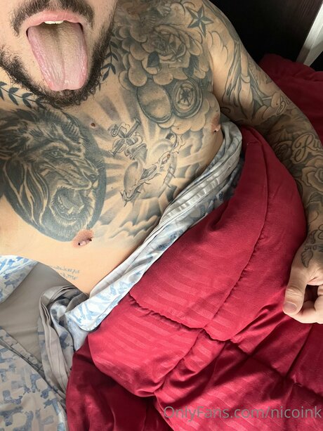 Nicoink hd pornstar picture