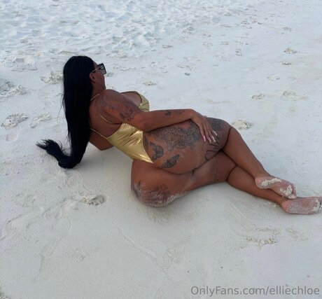 Elliechloe perfect pornstar picture