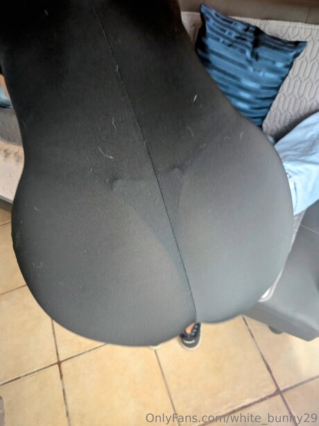 White Bunny29 pornstar art galleries