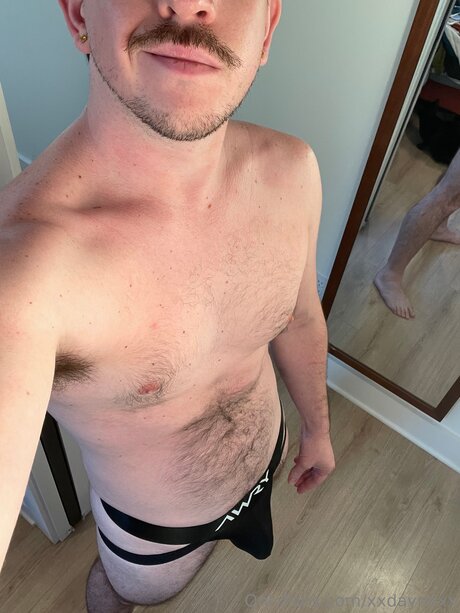 Hoosier Daddy X model pictures