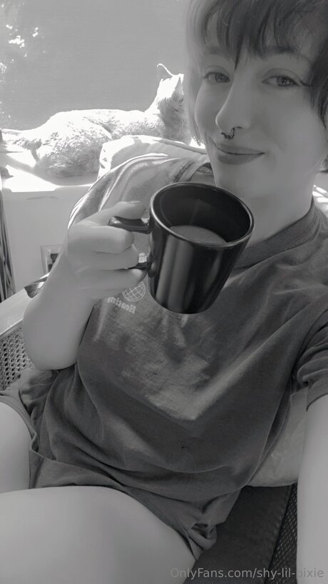 Shy Lil Pixie hd pornstar gallery