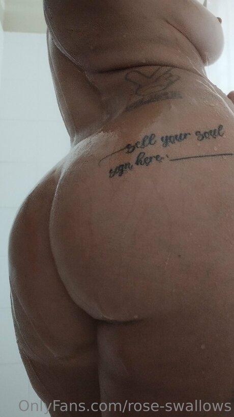 Rose Swallows star xxx gallery